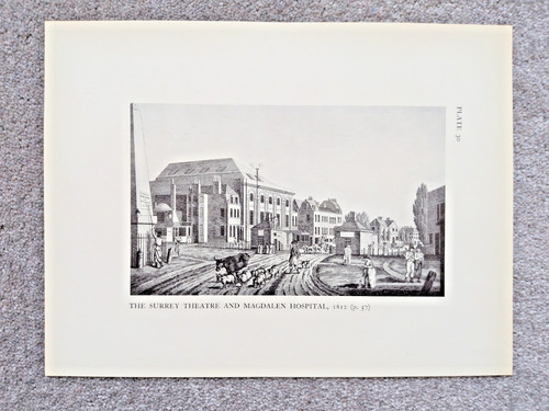 The surrey theatre and - surrey,