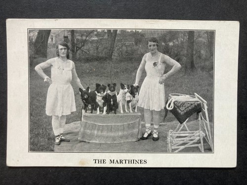 The marthines vintage - the,